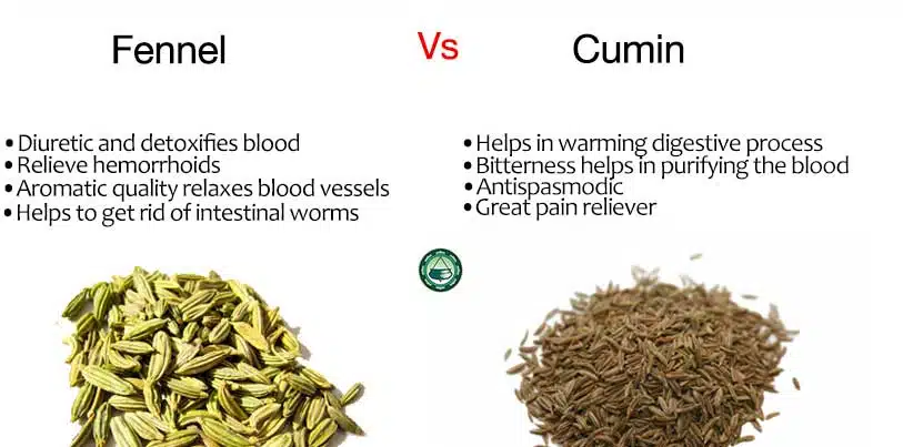 Ayurvedic Remedies Fennel vs Cumin