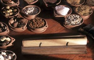 Ayurvedic Medicine is an important and valuable tool when it comes to managing seasonal change. Find out more at the Ayurvedic Wellness Centre in Bondi Junction, Sydney