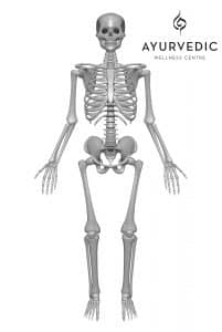 Many people regularly suffer from back pain and Ayurveda can treat this problem! Contact the Ayurvedic Wellness Centre in Bondi Junction