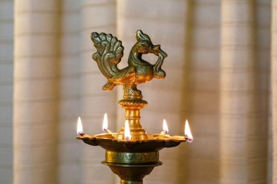 Agni, Ama and Panchakarma