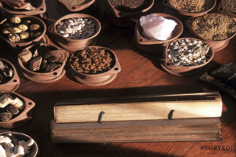 Ayurvedic Medicine is an important and valuable tool when it comes to managing seasonal change. Find out more at the Ayurvedic Wellness Centre in Bondi Junction, Sydney