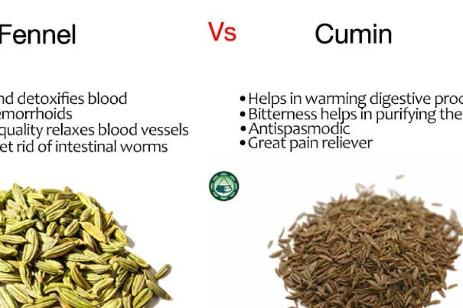 Ayurvedic Remedies Fennel vs Cumin-Copy