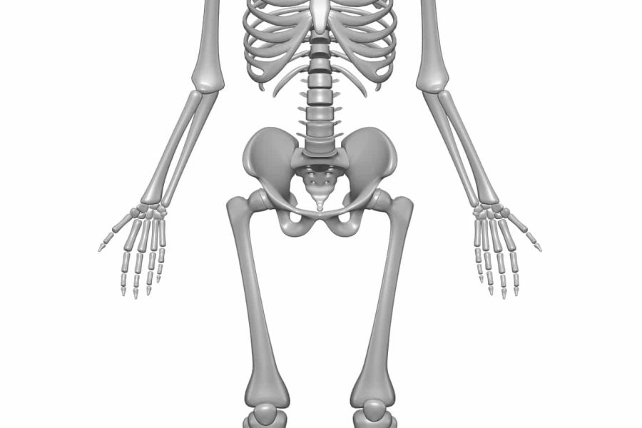 Cervical Spondylitis, like Osteoarthritis (Arthritis) and other bone and joint problems, can be treated with Ayurveda. contact the Ayurvedic Wellness Centre in Bondi today
