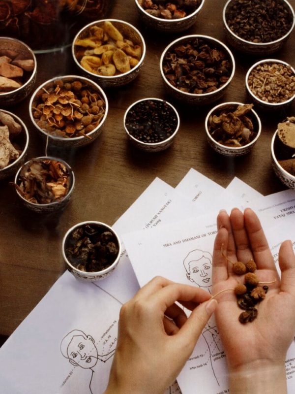 Ayurveda and Western Medicine